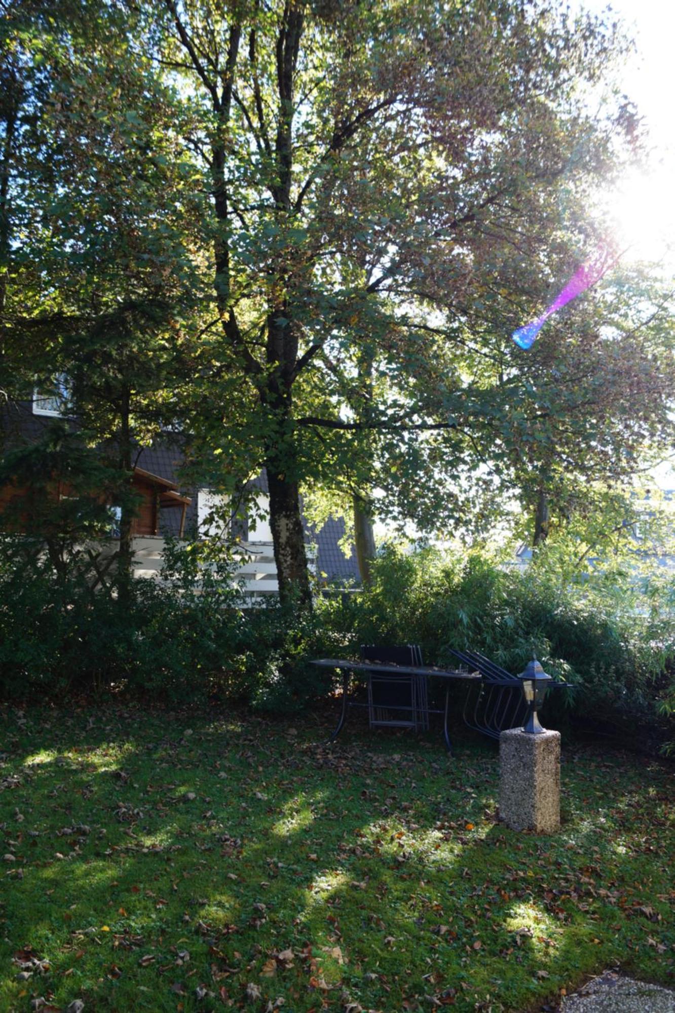 Apartment Astentraum